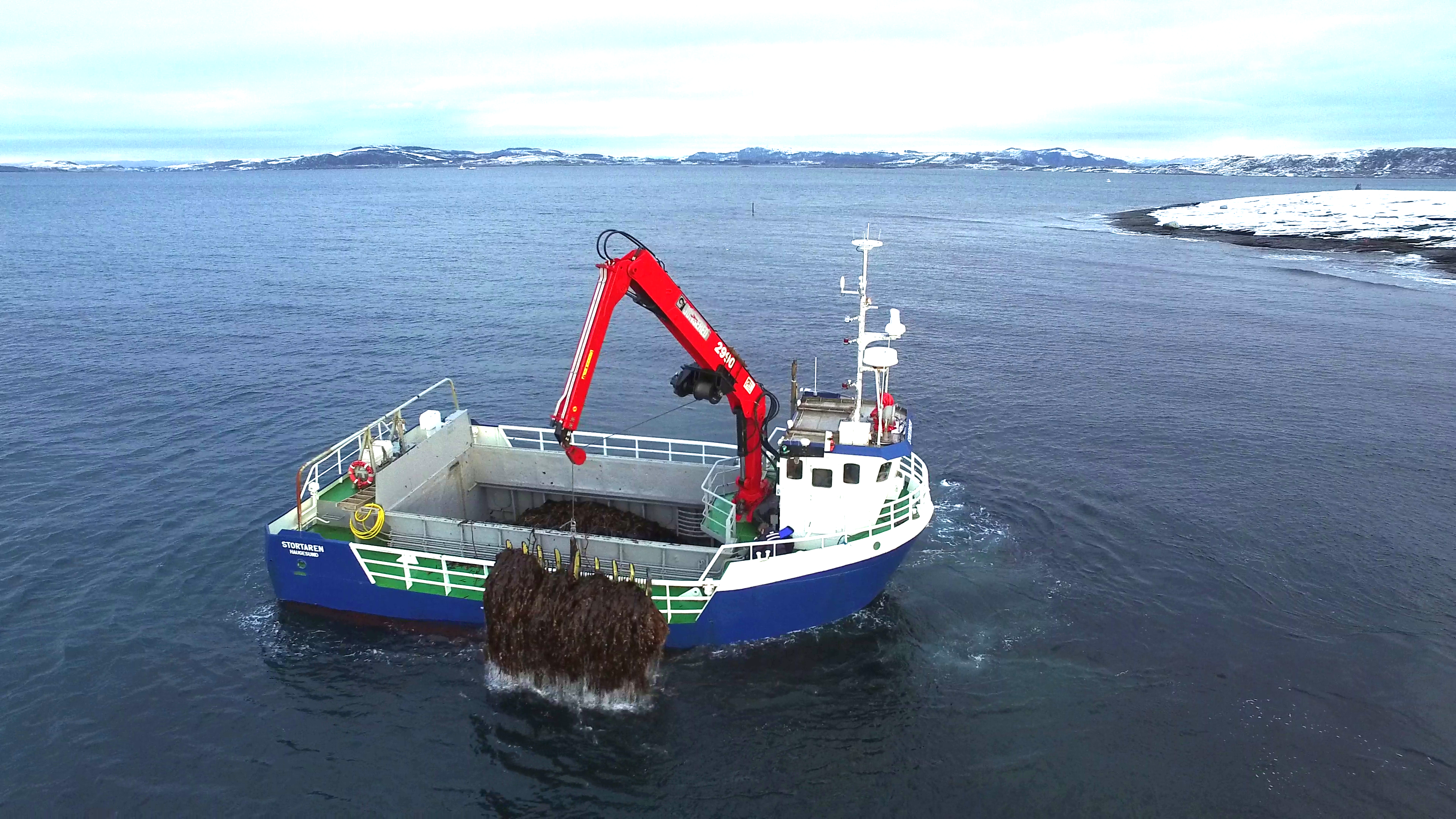 Mellom 150.000 og 170.000 tonn stortare hentes opp fra havet og ender opp på fabrikken i Karmøy hvert år. Foto: FMC Biopolymer